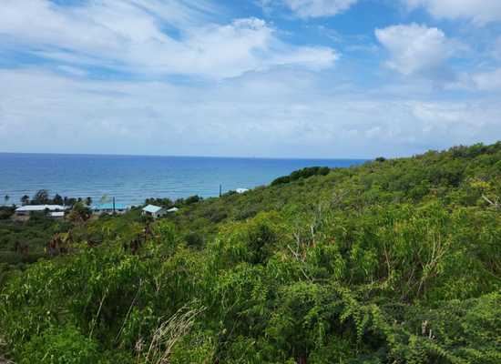 69 South Grapetree EB, 23-814, Other, Lots and Land,  for sale - Dionne Nelthropp, Hibiscus Homes