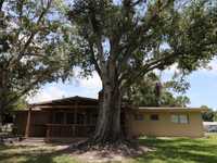 House 1817322751