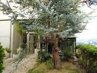 House 2772997582