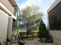House 2772997591