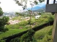 House 2772997753