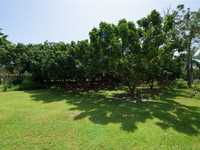 House 1824354444
