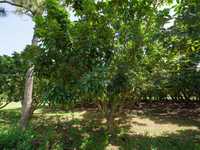 House 1824354451