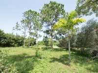 House 1824354497