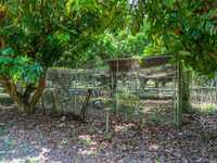 House 1927632013