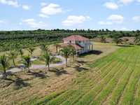 House 1847436890