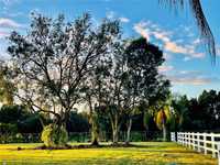 House 1999166631