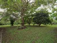House 1863723236