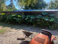 House 1883001515