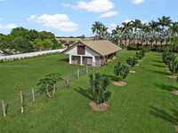 House 1924169595