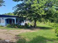 House 1977906562