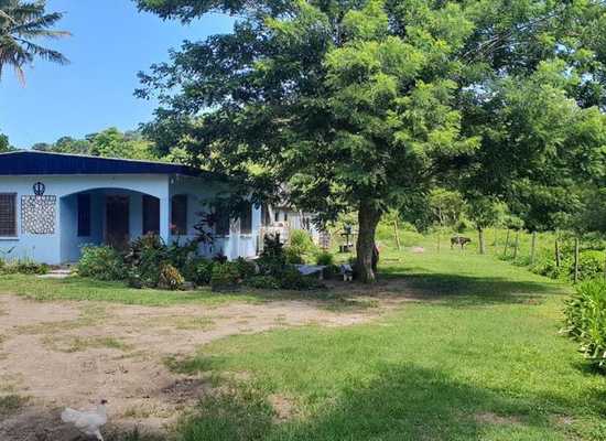 NF74 Naidiri Road Malomalo, Sigatoka, Farm,  for sale, PROPERTY EXPERTS 