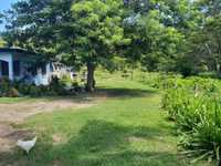 House 1977906564