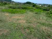 House 2102911585