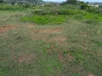 House 2102911587