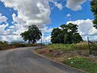 House 2145931323