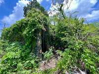 House 2751967106