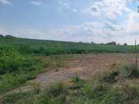 House 2214370456