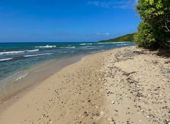 24 Northside NA, 24-1576, Other, Lots and Land,  for sale - Dionne Nelthropp, Hibiscus Homes