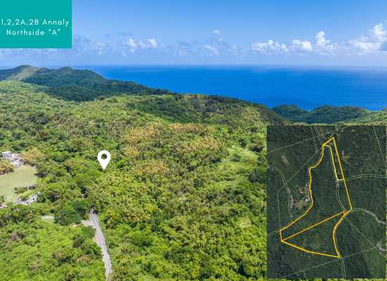 1,2,2A,2B Annaly NA, 24-1702, Other, Lots and Land,  for sale - Dionne Nelthropp, Hibiscus Homes