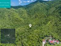 House 2313708942