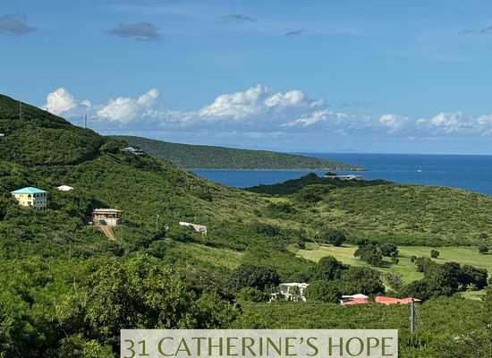 31 Catherine's Hope EB, 24-2025, Other, Lots and Land,  for sale - Dionne Nelthropp, Hibiscus Homes