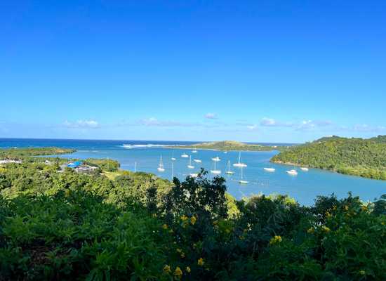 Rem. 10 Morningstar QU, 24-2139, Other, Lots and Land,  for sale - Dionne Nelthropp, Hibiscus Homes