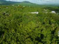 House 2335160705