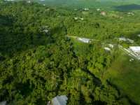 House 2335160692