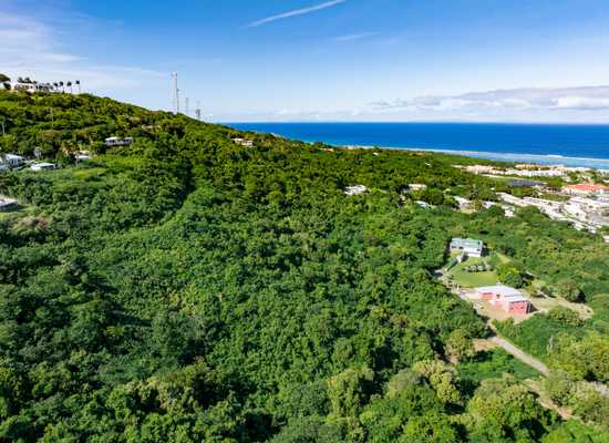 50 Beeston Hill CO, 25-3, Other, Lots and Land,  for sale - Dionne Nelthropp, Hibiscus Homes