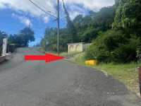House 2819440525