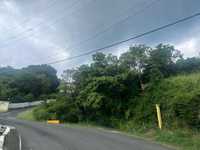 House 2819440530