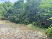 House 2819440546