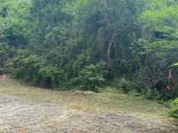 House 2819440561