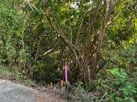 House 2373389183