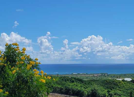 97 Bugby Hole CO, 25-192, Other, Lots and Land,  for sale - Dionne Nelthropp, Hibiscus Homes
