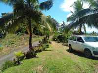 House 2393494817