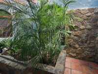 House 2414475303