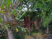 House 2414475749