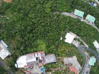 House 2425939393