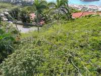 House 2431868246