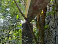 House 2431868432