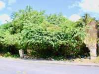 House 2437565575