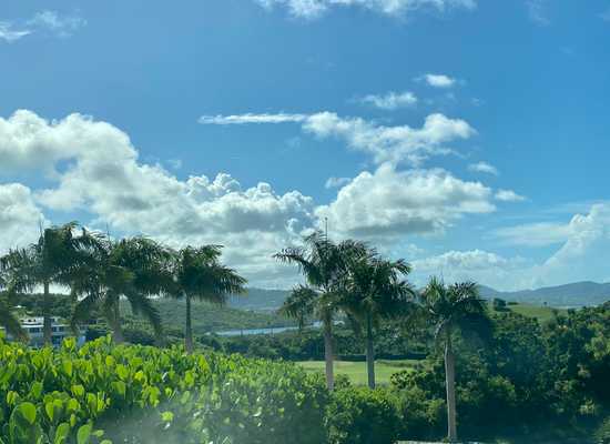 65 Anna's Hope EA, 25-887, Other, Lots and Land,  for sale - Dionne Nelthropp, Hibiscus Homes
