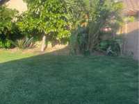 House 2524438383