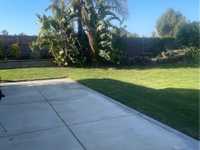 House 2524438384
