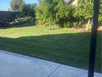 House 2524438386