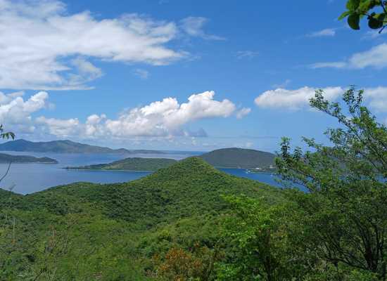 5-I Leinster Bay MAHO, 25-976, Other, Lots and Land,  for sale - Dionne Nelthropp, Hibiscus Homes