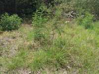 House 2538452741