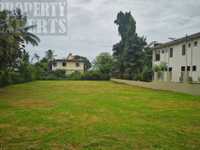 House 2539476313